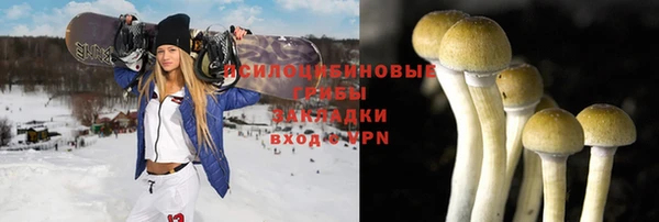 спайс Абинск