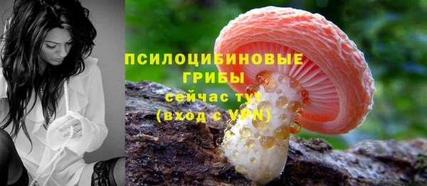 стафф Алзамай