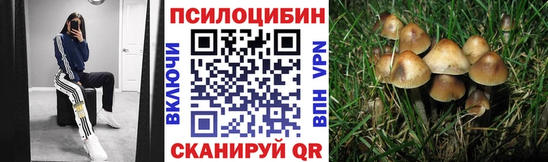Галлюциногенные грибы Magic Shrooms  купить наркотик  Ачхой-Мартан 
